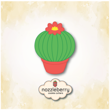 Κάκτος με γλάστρα