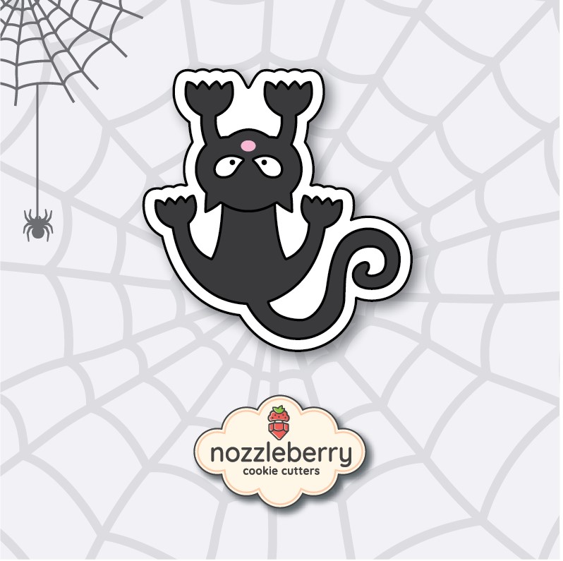 cat anapoda a 9.5 hall0007