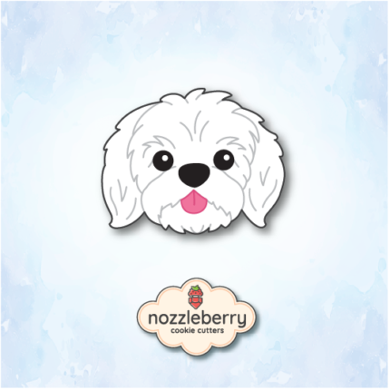 Μαλτεζάκι Κεφάλι