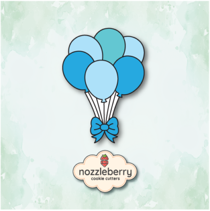 Μπαλόνια με Φιόγκο