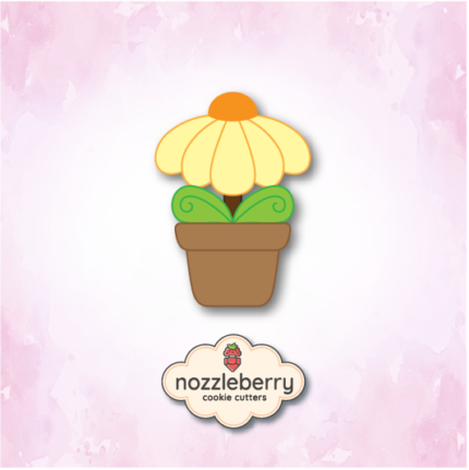 Μαργαρίτα σε Γλάστρα