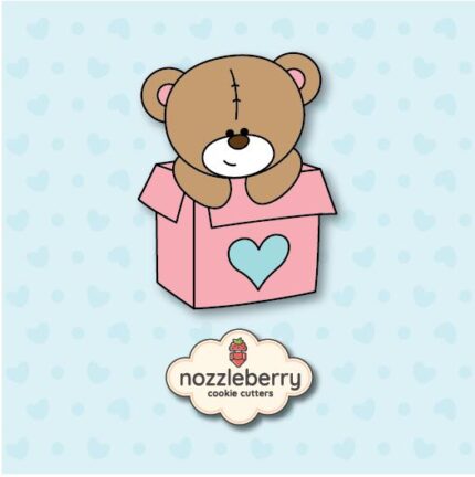 Αρκούδι σε κουτί