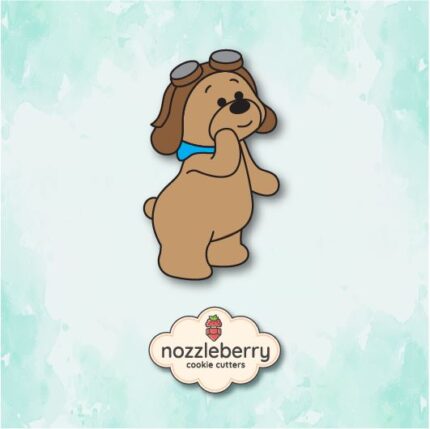 Αρκούδος αεροπόρος