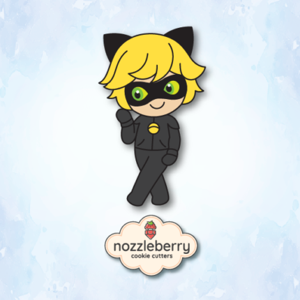 Cat Noir Lady Bug