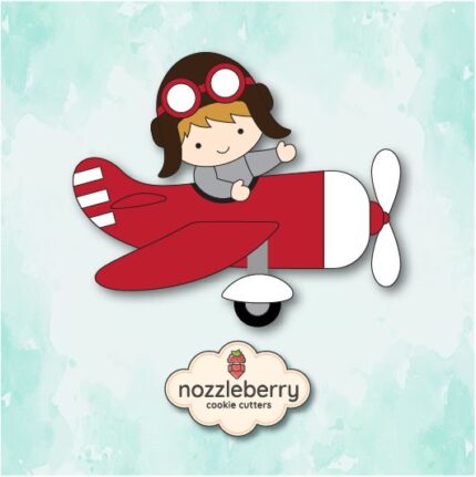 Αεροπλάνο με πιλότο