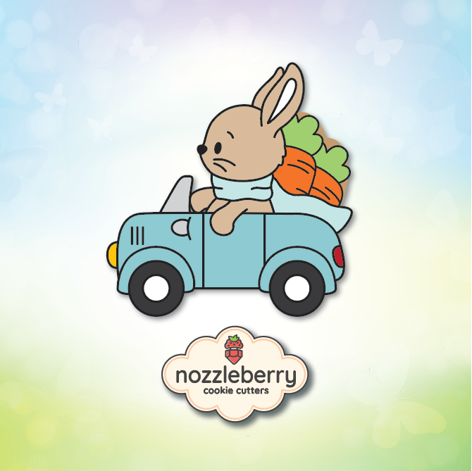 easter0282a lagos car carrots (10)